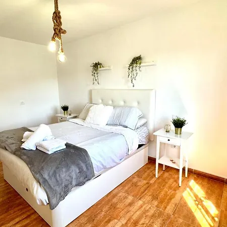 Joha's Zen * CANARY ISLANDS